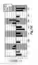 Fig. 19 - NUCLEIC ACID DETECTION AND QUANTIFICATION BY POST-HYBRIDIZATION LABELING AND UNIVERSAL ENCODING