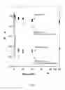Fig. 02 - Method to characterize fracture plugging efficiency for drilling fluids