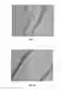Fig. 06 - BMP-2 Upregulating Compounds For Healing Bone Tissue And Screening Methods For Selecting Such Compounds