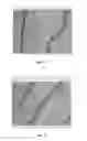 Fig. 07 - BMP-2 Upregulating Compounds For Healing Bone Tissue And Screening Methods For Selecting Such Compounds