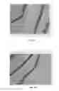 Fig. 08 - BMP-2 Upregulating Compounds For Healing Bone Tissue And Screening Methods For Selecting Such Compounds