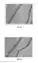 Fig. 09 - BMP-2 Upregulating Compounds For Healing Bone Tissue And Screening Methods For Selecting Such Compounds