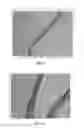 Fig. 10 - BMP-2 Upregulating Compounds For Healing Bone Tissue And Screening Methods For Selecting Such Compounds
