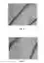 Fig. 11 - BMP-2 Upregulating Compounds For Healing Bone Tissue And Screening Methods For Selecting Such Compounds