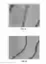 Fig. 12 - BMP-2 Upregulating Compounds For Healing Bone Tissue And Screening Methods For Selecting Such Compounds