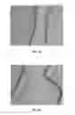 Fig. 13 - BMP-2 Upregulating Compounds For Healing Bone Tissue And Screening Methods For Selecting Such Compounds