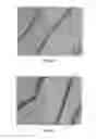 Fig. 17 - BMP-2 Upregulating Compounds For Healing Bone Tissue And Screening Methods For Selecting Such Compounds
