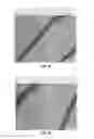 Fig. 20 - BMP-2 Upregulating Compounds For Healing Bone Tissue And Screening Methods For Selecting Such Compounds