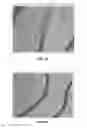 Fig. 21 - BMP-2 Upregulating Compounds For Healing Bone Tissue And Screening Methods For Selecting Such Compounds