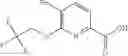 Fig. 481 - Pyridine derivatives as agonists of the CB2 receptor