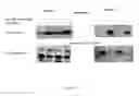 Fig. 02 - LYCOPENE FOR THE TREATMENT FOR METABOLIC DYSFUNCTION