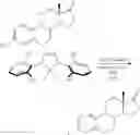 Fig. 73 - Fluorination of organic compounds