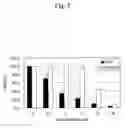 Fig. 08 - THERAPEUTIC AGENT FOR HEPATITIS C