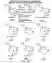 Fig. 09 - Synthesis of epothilones, intermediates thereto and analogues thereof