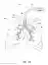 Fig. 04 - SYSTEMS, ASSEMBLIES, AND METHODS FOR TREATING A BRONCHIAL TREE