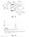Fig. 02 - METHODS AND APPARATUS FOR EFFECTUATING A LASTING CHANGE IN A NEURAL-FUNCTION OF A PATIENT