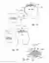 Fig. 16 - METHODS AND APPARATUS FOR EFFECTUATING A LASTING CHANGE IN A NEURAL-FUNCTION OF A PATIENT