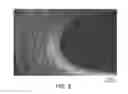 Fig. 06 - Durable Stent Drug Eluting Coating