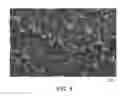 Fig. 07 - Durable Stent Drug Eluting Coating