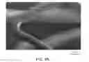 Fig. 10 - Durable Stent Drug Eluting Coating