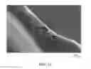 Fig. 13 - Durable Stent Drug Eluting Coating