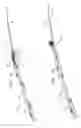 Fig. 02 - Endovascular flow direction indicator