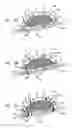 Fig. 08 - Endovascular flow direction indicator