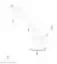 Fig. 12 - Balloon expandable ureteral stent