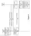 Fig. 06 - Video and site analytics