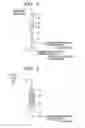 Fig. 02 - Method for removing sulfur compounds in castable