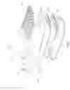 Fig. 02 - ATHLETIC PERFORMANCE SHOES