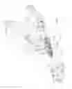 Fig. 04 - Agricultural harvester with automatic header coupling