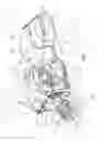 Fig. 02 - Two-wheeled vehicle