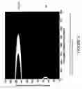 Fig. 06 - Surface electromagnetic waves in photonic band gap multilayers