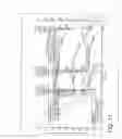 Fig. 22 - SOIL REMEDIATION METHOD AND COMPOSITION