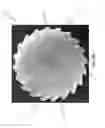 Fig. 02 - Wheel Turbine Rotor