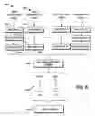 Fig. 07 - Automatic camera selection for videoconferencing