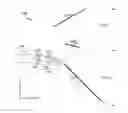 Fig. 01 - Anamorphic stereoscopic optical apparatus and related methods
