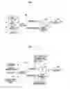 Fig. 02 - METHOD AND APPARATUS FOR TRANSMISSION AND RECEPTION IN THE PROVISION OF A PLURALITY OF TRANSPORT INTERACTIVE 3DTV BROADCASTING SERVICES