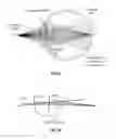 Fig. 09 - Systems and methods for implanting and examining intraocular lens