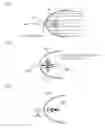 Fig. 02 - Illuminating optical system and projector using the same
