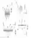 Fig. 07 - LITHOGRAPHIC APPARATUS AND DEVICE MANUFACTURING METHOD