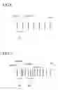 Fig. 07 - IMAGE FORMING APPARATUS