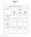 Fig. 08 - System, apparatus and method for processing document for combined-page output