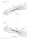Fig. 06 - Vibrating mirror element