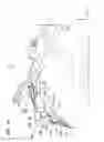 Fig. 15 - Motorcycle rear portion structure
