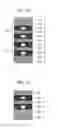 Fig. 07 - Magnetoresistive element and magnetic memory