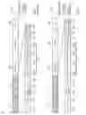 Fig. 02 - Data frame for PLC having destination address in the PHY header