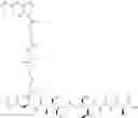 Fig. 303 - Protein-polymer-drug conjugates