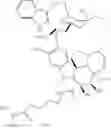 Fig. 321 - Protein-polymer-drug conjugates